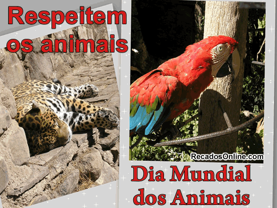 Respeitem os animais. Dia Mundial dos...