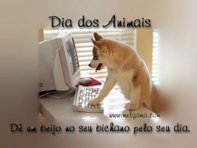 Dia dos Animais. Dê um beijo no seu bichano pelo seu dia.