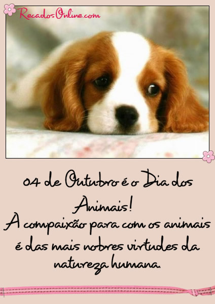 4 de Outubro é o Dia dos Animais! A...