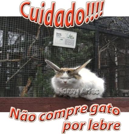 Cuidado!!! Não compre gato por lebre.