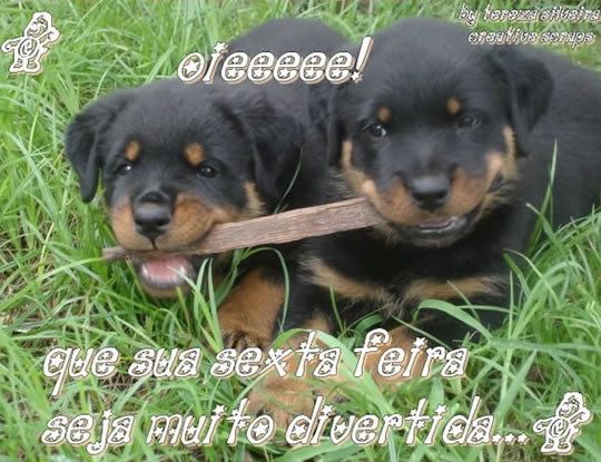 Oieee! Que sua sexta feira seja muito divertida.