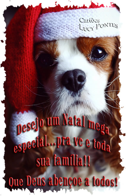 Desejo um Natal mega especial... pra você e toda sua família!!...