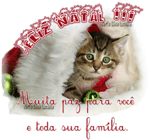 Feliz Natal!!! Muita paz para você e toda sua família.