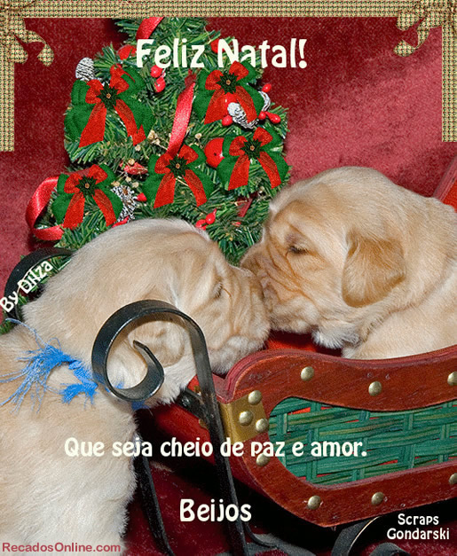 Feliz Natal! Que seja cheio de paz e amor. Beijos