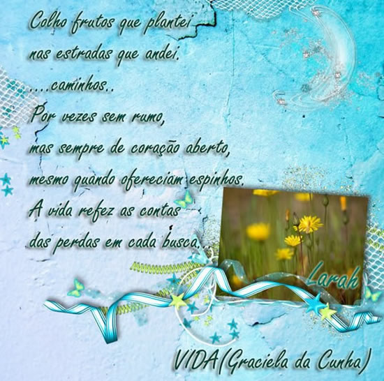 VIDA Colho frutos que plantei nas estradas que andei. Caminhos... por vezes...