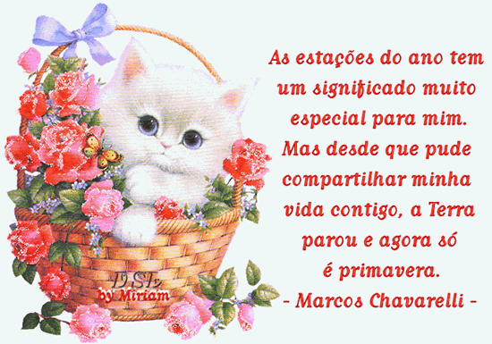 As estações do ano tem um significado muito especial para mim...