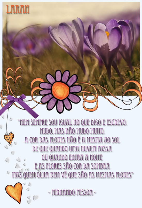 Nem sempre sou igual no que digo e escrevo. Mudo, mas não mudo muito...