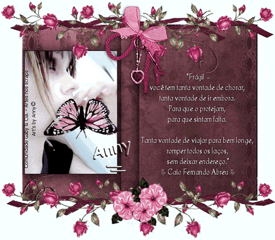 Frágil Você tem a vontade de chorar, tanta vontade de ir...