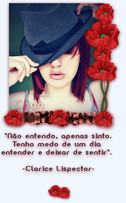 Não entendo, apenas sinto. Tenho medo de um dia entender e deixar de...