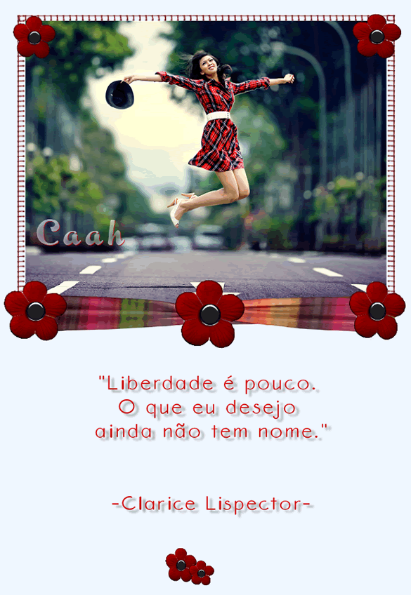Liberdade é pouco. O que eu desejo ainda não tem nome. Clarice...
