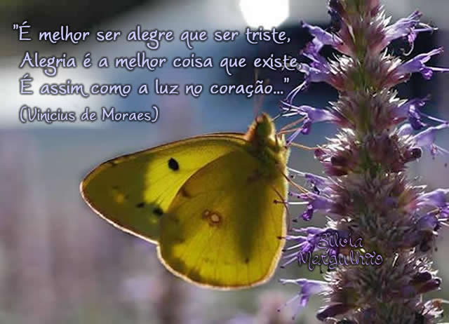 É melhor ser alegre que ser triste, Alegria é a melhor coisa...