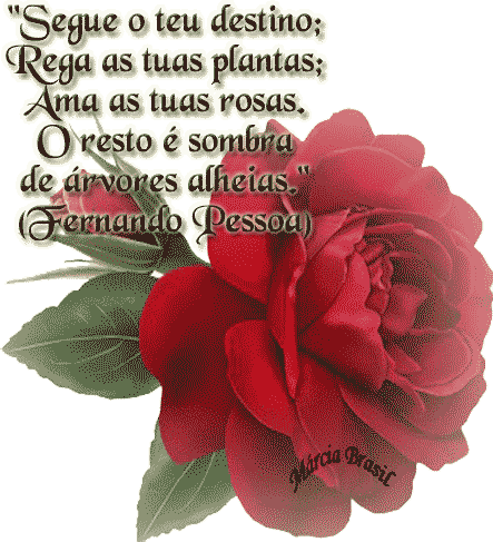 Segue teu destino; rega tuas plantas; Ama as tuas tosas. O resto é...