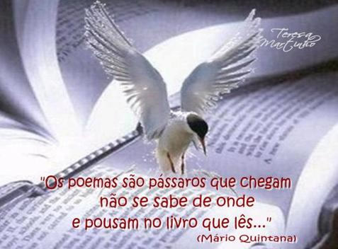 Os poemas são pássaros que chegam não se sabe de onde e...
