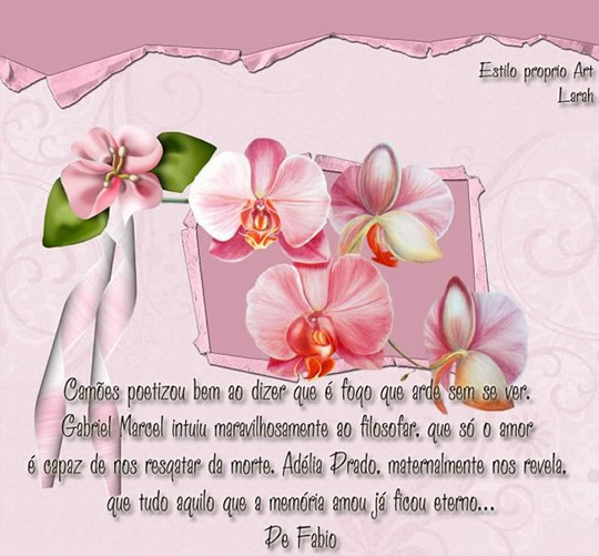 Camões poetizou bem ao dizer que é fogo que se arde sem se...