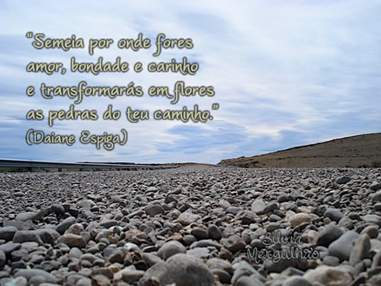 Semeia por onde fores: amor, bondade e carinho. E transformarás em...