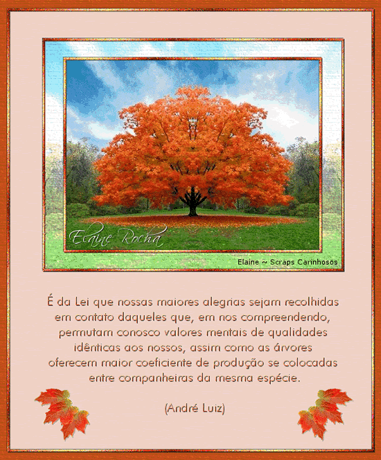 É da lei que nossas maiores alegrias sejam recolhidas em contato...