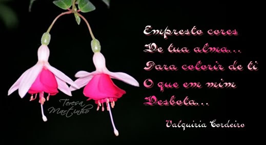 Empresto cores de tua alma... Para colorir de ti O que em mim Desbota...