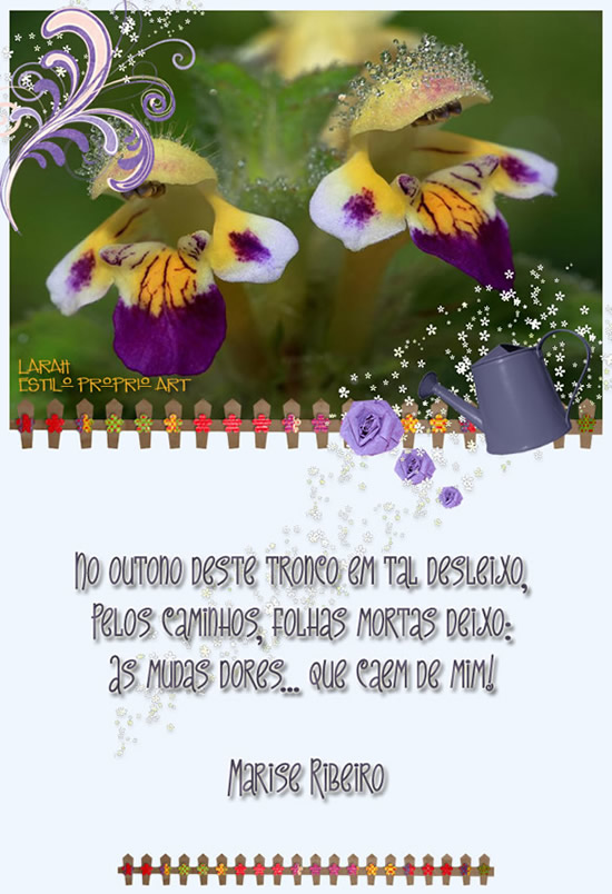 No outono deste tronco em tal desleixo, pelos caminhos,folhas mortas deixo...