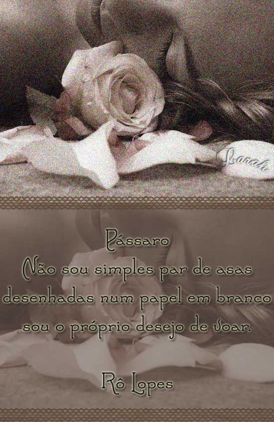 Pássaro Não sou simples par de asas desenhadas num papel em...
