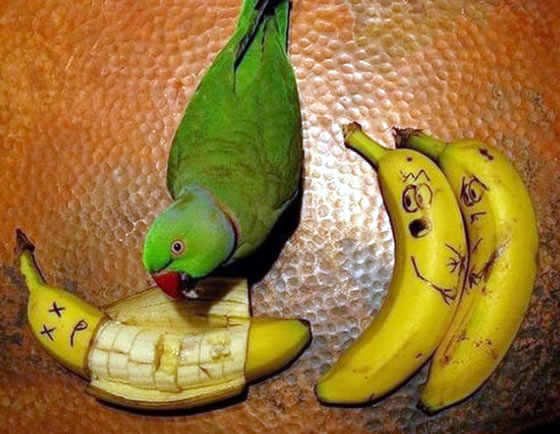 Fotos Bizarras imagem 5