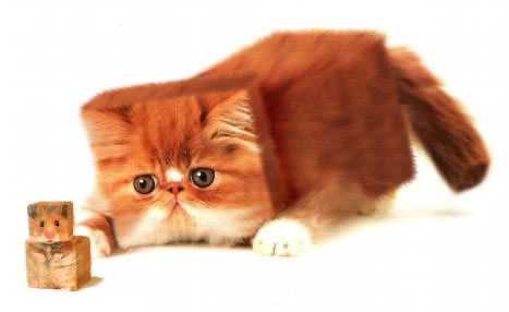 Fotos Bizarras imagem 5