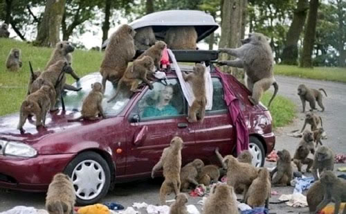 Fotos Bizarras imagem 7