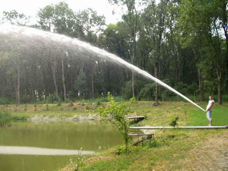 Fotos Bizarras imagem 9