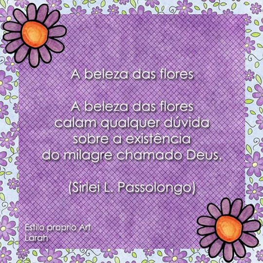 A beleza das flores A beleza das flores calam qualquer dúvida sobre a...