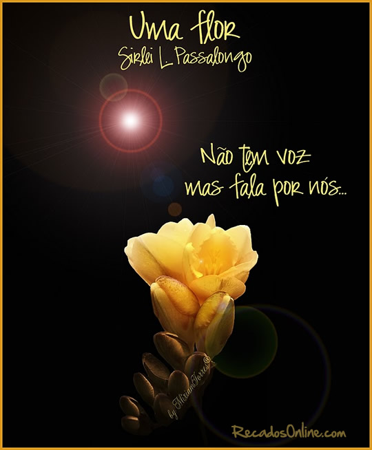 Uma Flor Não tem voz mas fala por nós... Sirlei L. Passolongo