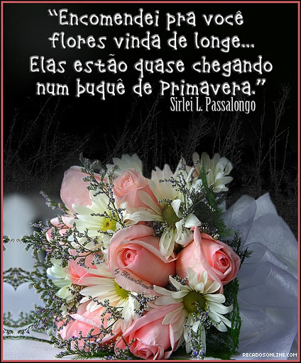 Encomendei pra você flores vinda de longe... Elas estão quase...