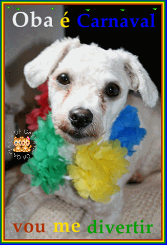 Oba é Carnaval Vou me divertir