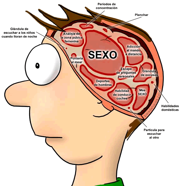 Machismo vs Feminismo imagem 7