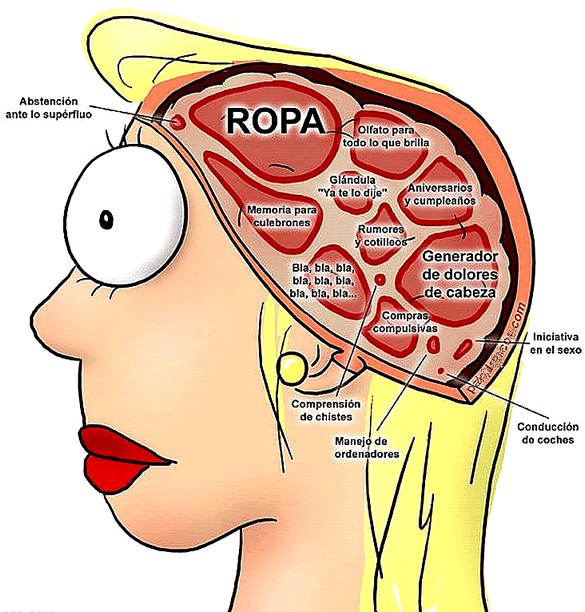 Machismo vs Feminismo imagem 8