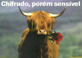 Machismo vs Feminismo imagem 2