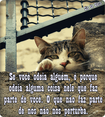 Se você odeia alguém, é porque odeia alguma coisa nele...