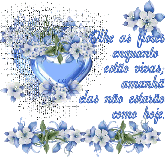 Olhe as flores enquanto estão vivas; amanhã elas não...