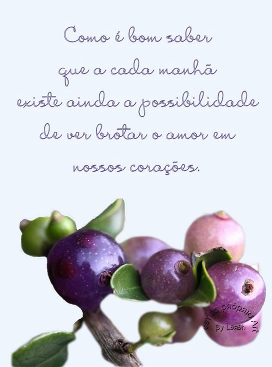 Como é bom saber que a cada manhã existe ainda a possibilidade...