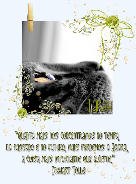 Quanto mais nos concentramos no tempo, no passado e no futuro, mais perdemos...