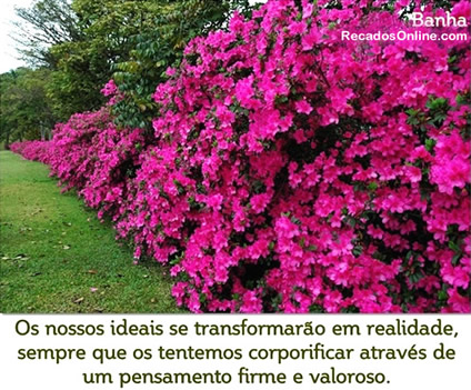 Os nossos ideais se transformarão em realidade, sempre que os...