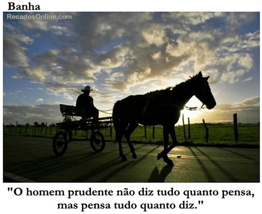 O homem prudente não diz tudo quanto pensa, mas pensa tudo quanto diz.