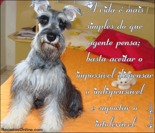 A vida é mais simples do que a gente pensa; basta aceitar o...