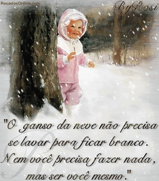 O ganso da neve não precisa se lavar para ficar branco. Nem...