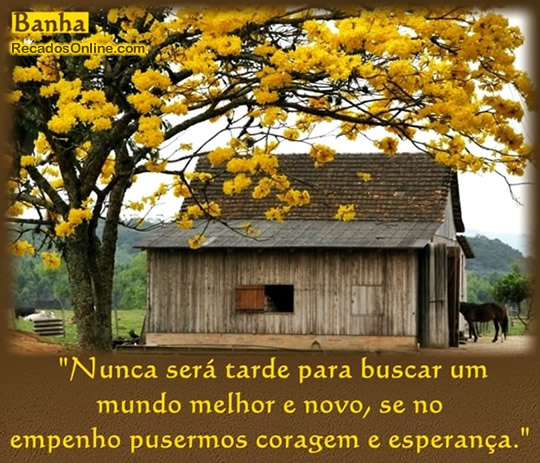Nunca será tarde para buscar um mundo melhor e novo, se no empenho...