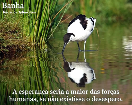 A esperança seria a maior das forças humanas, se não...