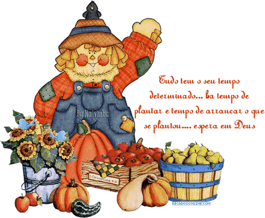 Tudo tem o seu tempo determinado... há tempo de plantar e tempo de...