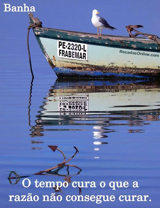 O tempo cura o que a razão não consegue curar.