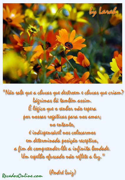 Não sabe que há chuvas que destroem e chuvas que criam?...