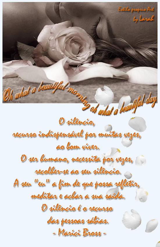 O silêncio, recurso indispensável por muitas vezes, ao bom...