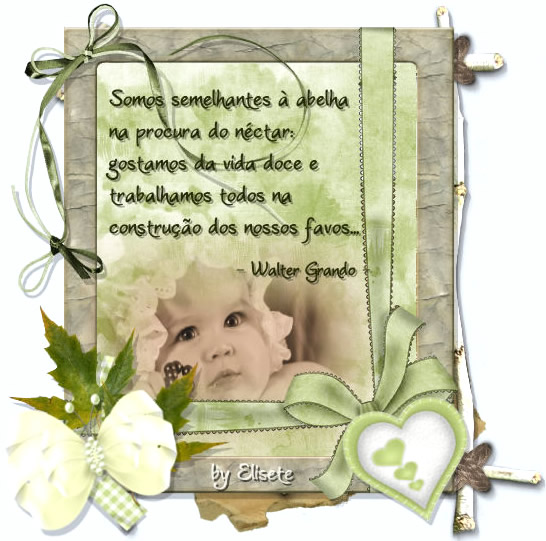 Somos semelhantes à abelha na procura do néctar: gostamos da...