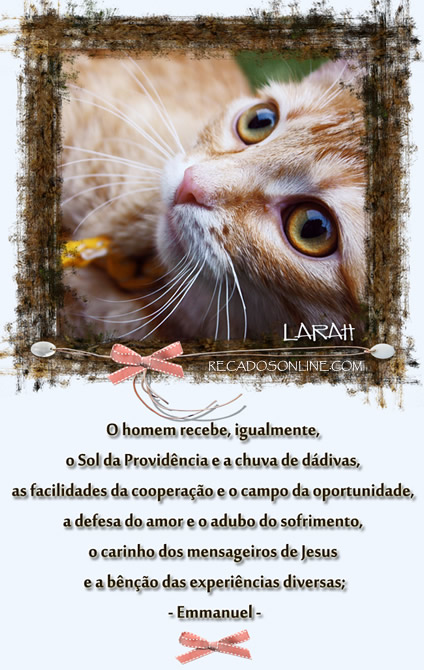 O homem recebe, igualmente, o Sol da Providência e a chuva de...